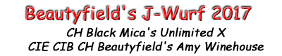 Beautyfield's J-Wurf 2017 - Die Filmcharaktere